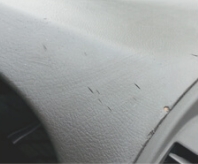 ダメージ に 楽器 後のパネル 長期 暴露