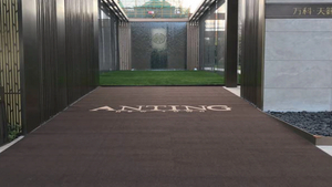 カスタマイズ可能なロゴカットベルベットカーペット、PVCアンチスリップボトムバック、ビジネスオフィス完全カバーカーペット