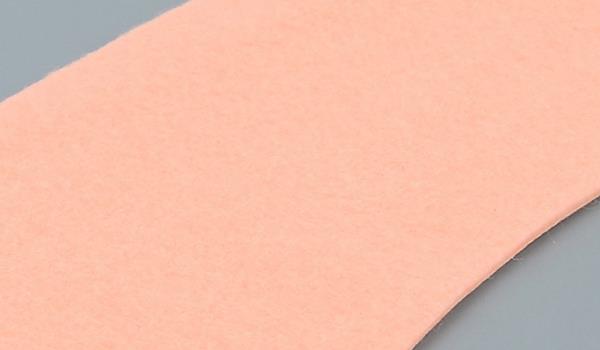 RATO便座のクローズアップ