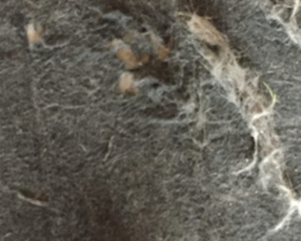 従来の椅子パッド表面